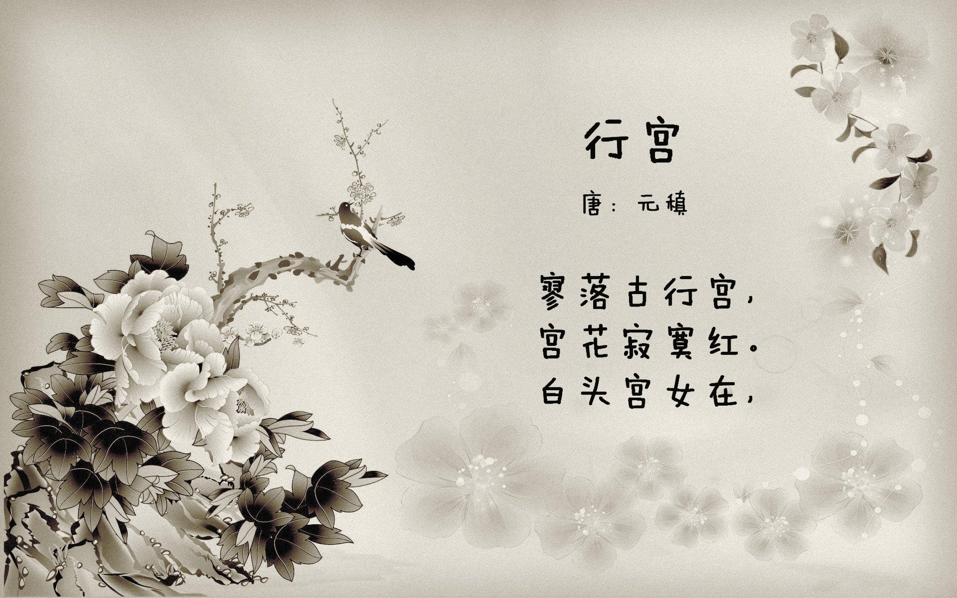 F1轰鸣之夜,弗拉霍维奇化身绿茵一号车手,他用进球与领袖力带动全队新赛季节奏